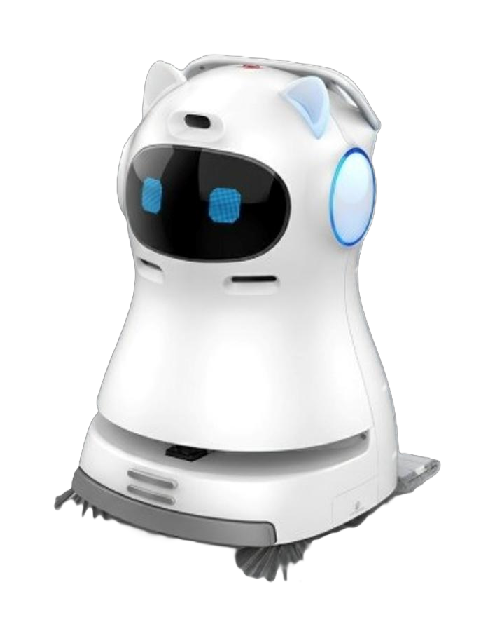 AeatBot C30 건식 카펫 청소 로봇